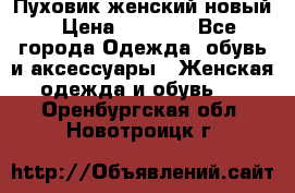 Пуховик женский новый › Цена ­ 2 600 - Все города Одежда, обувь и аксессуары » Женская одежда и обувь   . Оренбургская обл.,Новотроицк г.
